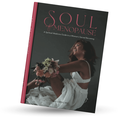 som_book_mockup-2